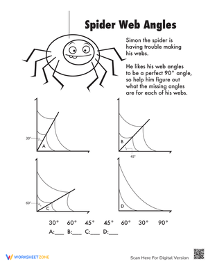 Spider Web Angles: Geometry Exploration