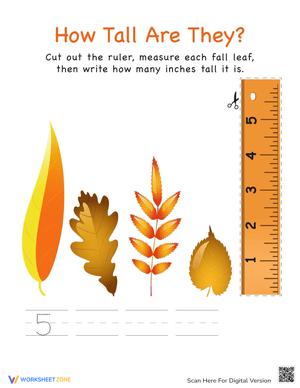 Measuring Leaves with Numbers