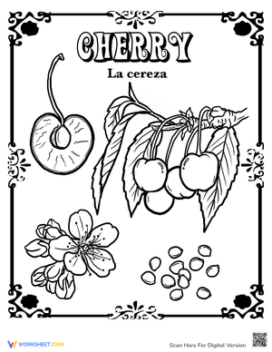Cherry in Spanish