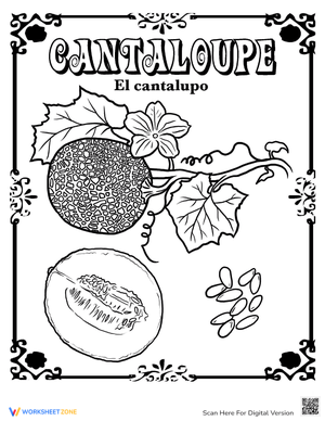 Cantaloupe in Spanish