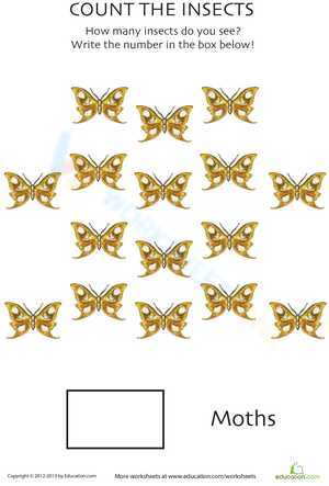 Counting Moths Worksheet