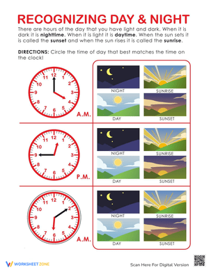 Night or Day Activity