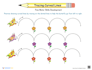 Fly, Butterfly, Fly!