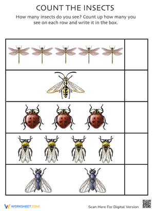 Counting Insects Math Activity Worksheet