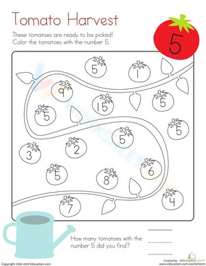 Kindergarten Coloring Fun Number 5 Worksheet