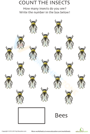 Counting Bees Fun Activity Worksheet