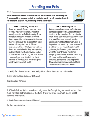 Feeding Our Pets: Responsibility Worksheet