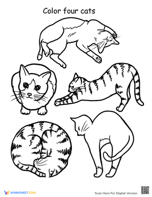 Count and Color Activity