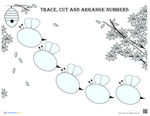 Arranging Numbers Worksheet: Ordering Practice