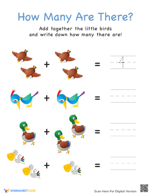 Counting Birds Learning Worksheet