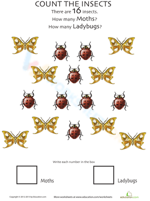 Insect Counting Worksheet for Early Math Skills