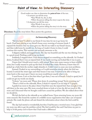 Point of View: An Interesting Discovery Worksheet