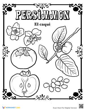 Persimmon in Spanish