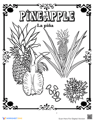 Pineapple in Spanish