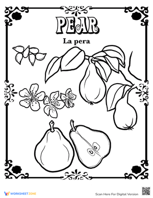 Pear in Spanish