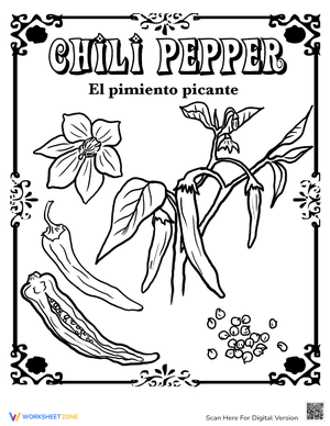 Chili Pepper in Spanish