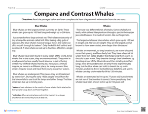 Compare and Contrast Whales Worksheet