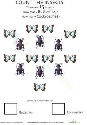 Insect Counting Worksheet for Kids