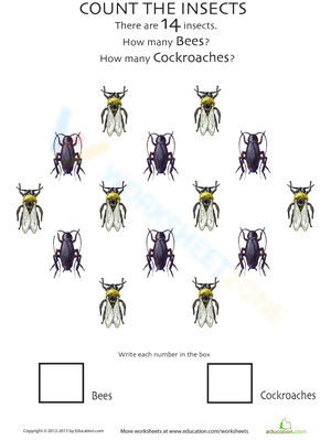 Insect Counting for Early Learners