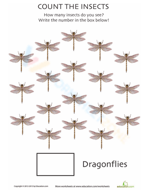 Counting Dragonflies