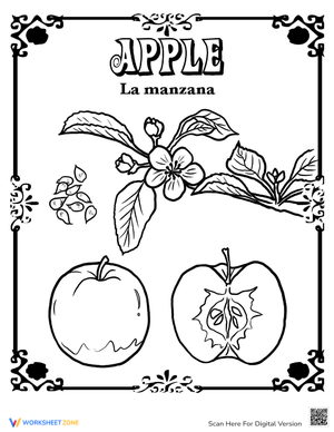 Apple Coloring Page