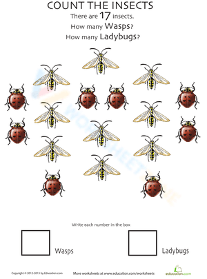 Insect Counting: Math and Nature Fun