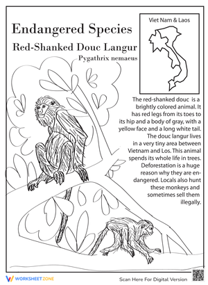 Learn about the Red-shanked Douc Langur