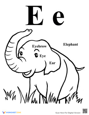 Coloring Alphabet: Fun with Letters