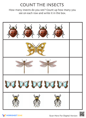 Counting Practice Insects