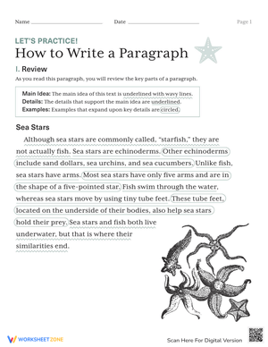 How to Write a Paragraph: Writing Skills Practice