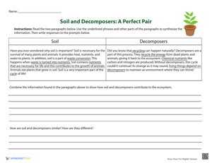 Soil and Decomposers: Science Worksheet