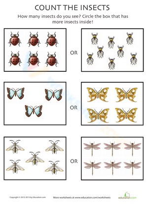 Count the Insects Math Worksheet