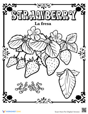 Strawberry in Spanish