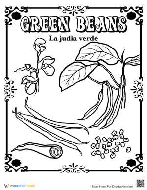 Green Beans in Spanish