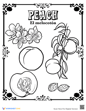 Peach in Spanish