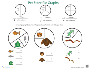 Understanding Pie Graphs