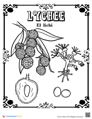 Lychee in Spanish