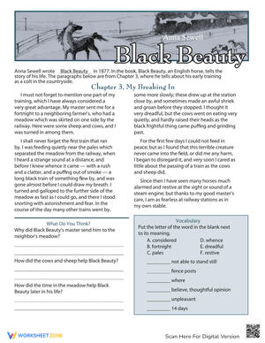 Black Beauty Reading Comprehension Worksheet