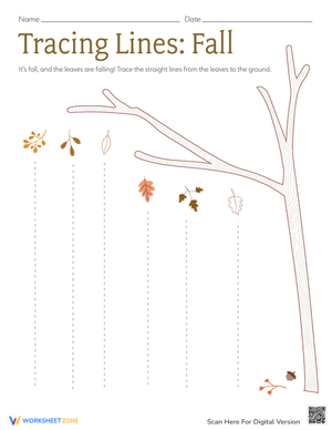 Tracing Lines: Fall