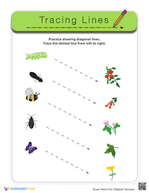 Diagonal Lines: Bugs