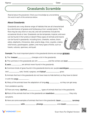 The Grassland Scramble Worksheet: Ecosystem Exploration
