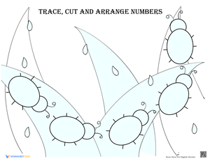 Arranging Numbers: Sequencing Practice