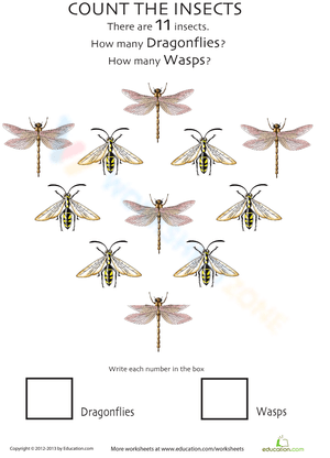 Insect Counting Practice Worksheet