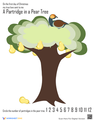 The 1st Day of Christmas Carol Worksheet