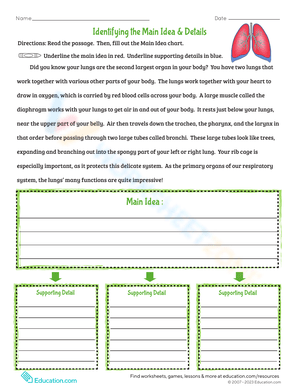 Identifying Main Idea and Details Worksheet