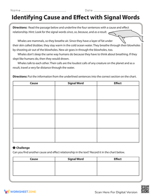 Identifying Cause and Effect Worksheet