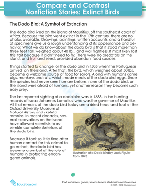 Compare & Contrast: Extinct Birds Worksheet