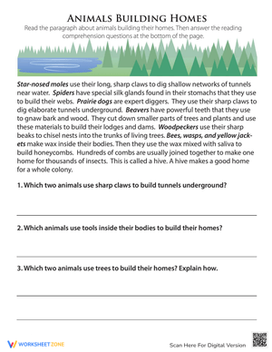 Animals Building Homes