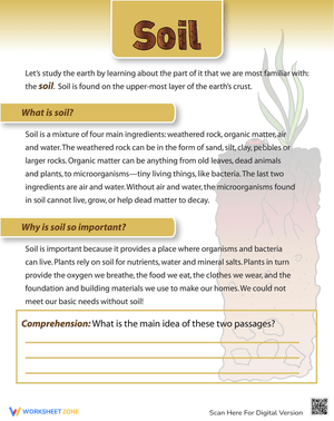 Exploring Soil: Understanding What Is Soil
