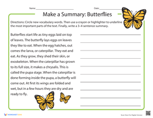 Make a Summary: Butterfly Life Cycle